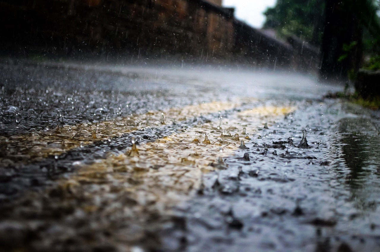 Using Rain Barrels for Garden Water Conservation